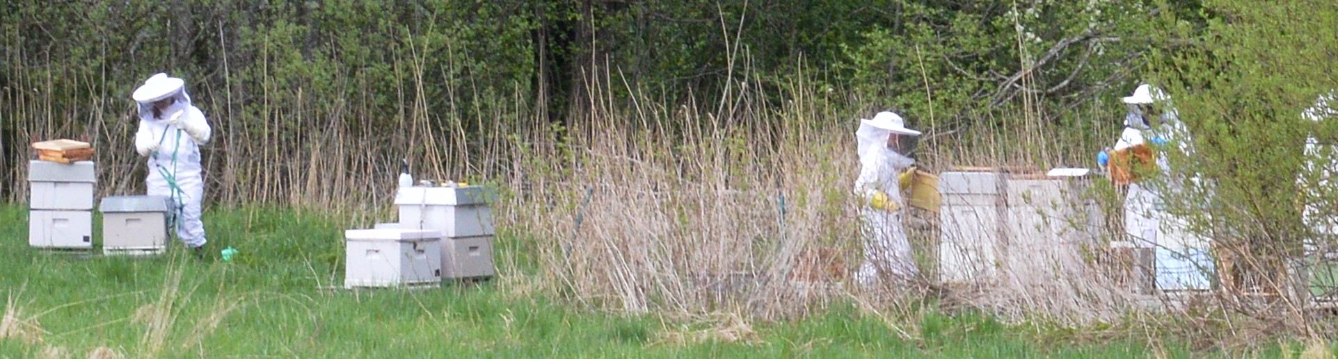 Apiculteurs